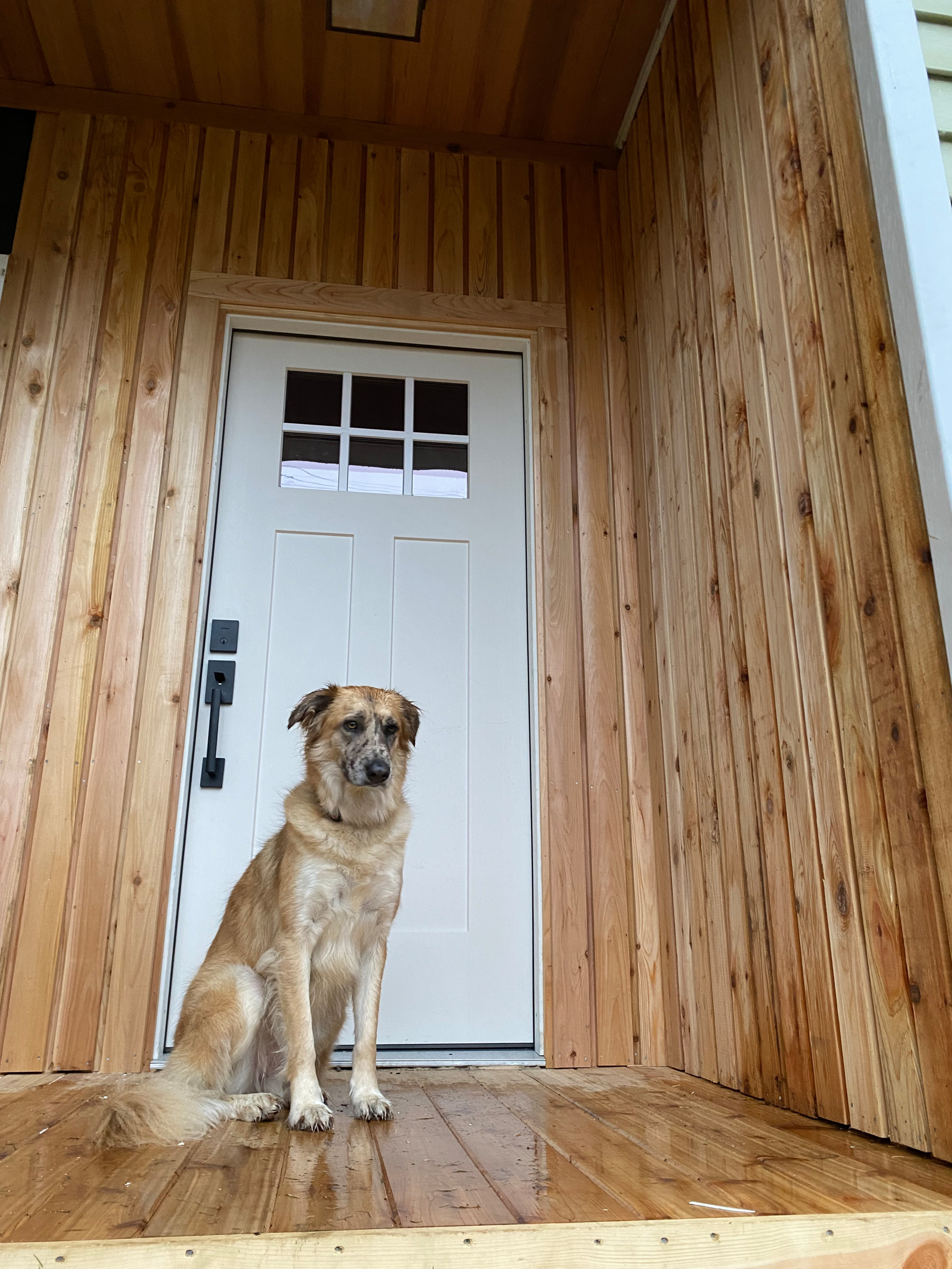 Modern Porch